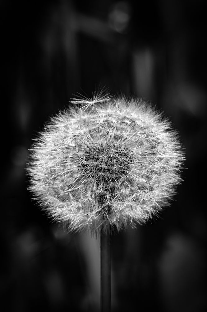 Фотография автора Владимир Хащанский