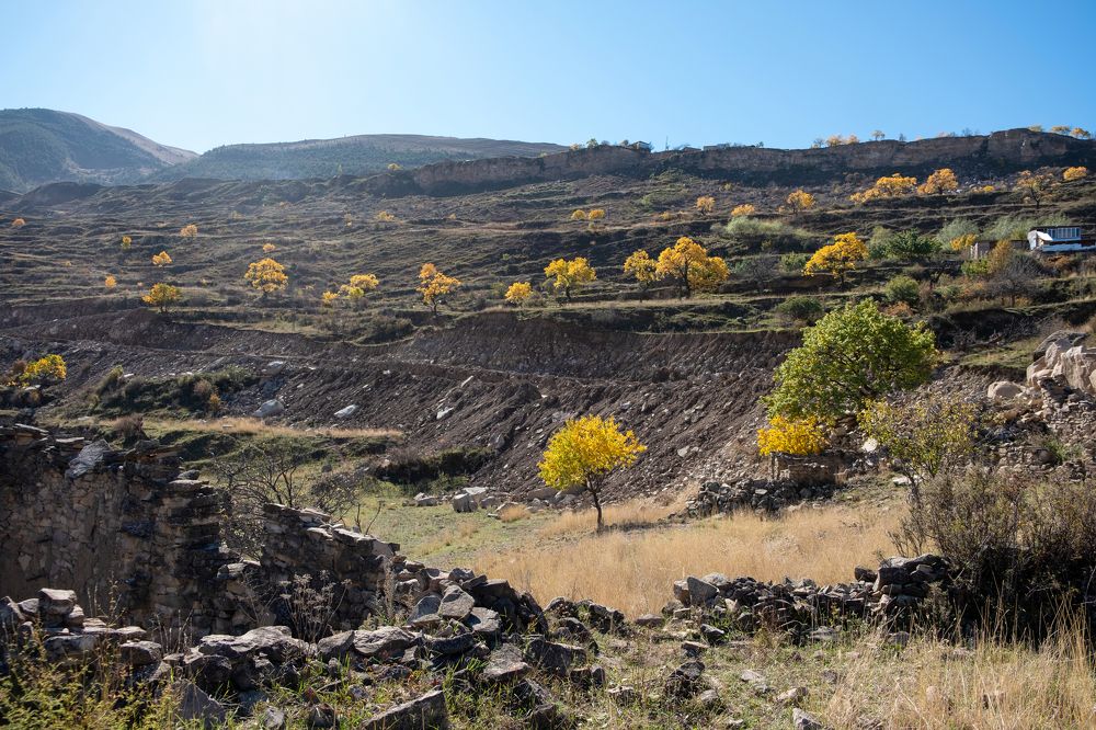 Photograph by Михаил Серебренников