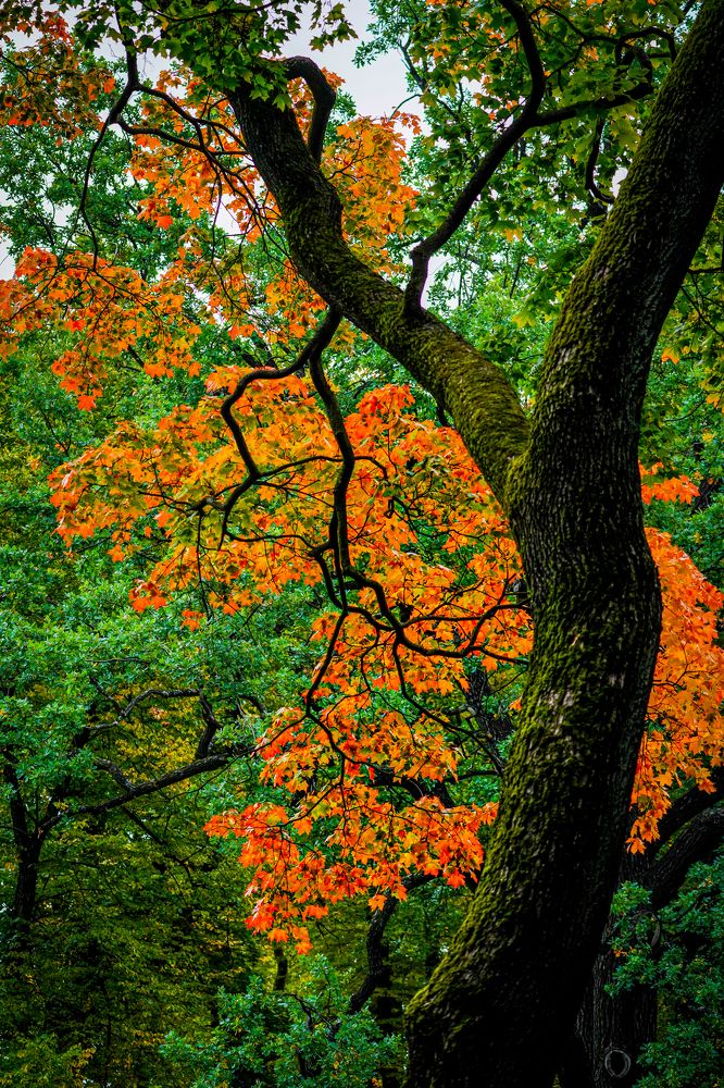 Фотография автора Владимир Хащанский