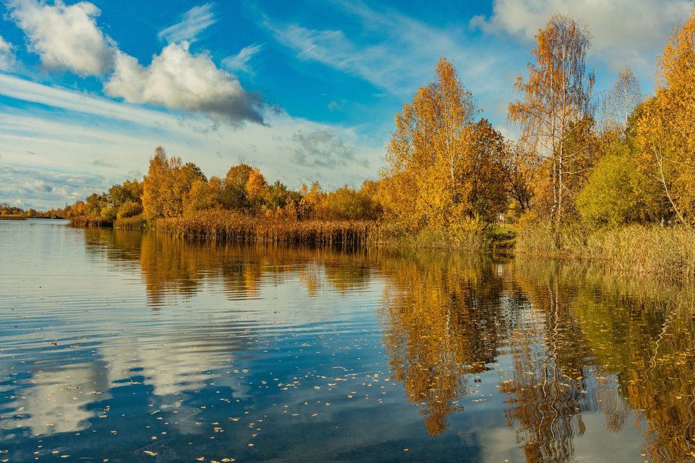 Фотография автора Екатерина Счасная