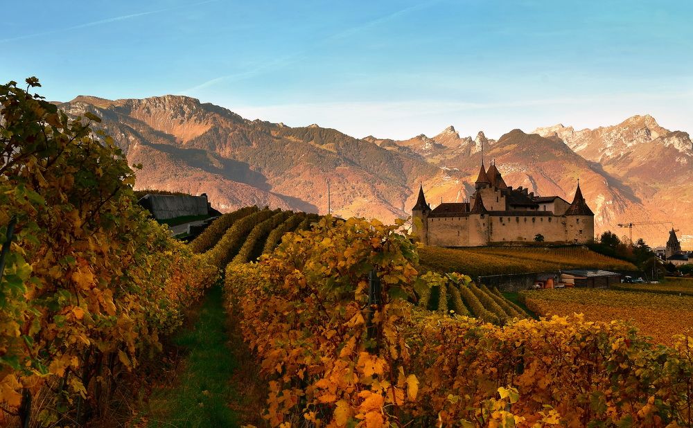 Photograph by Elena Wymann