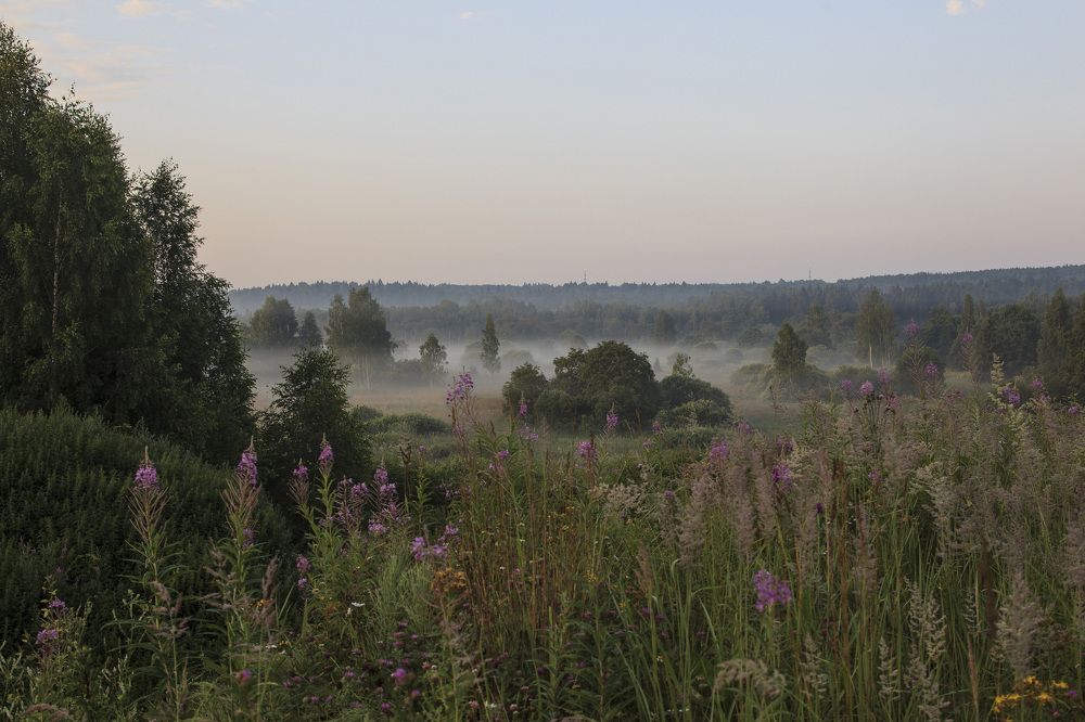 Photograph by Tatiana