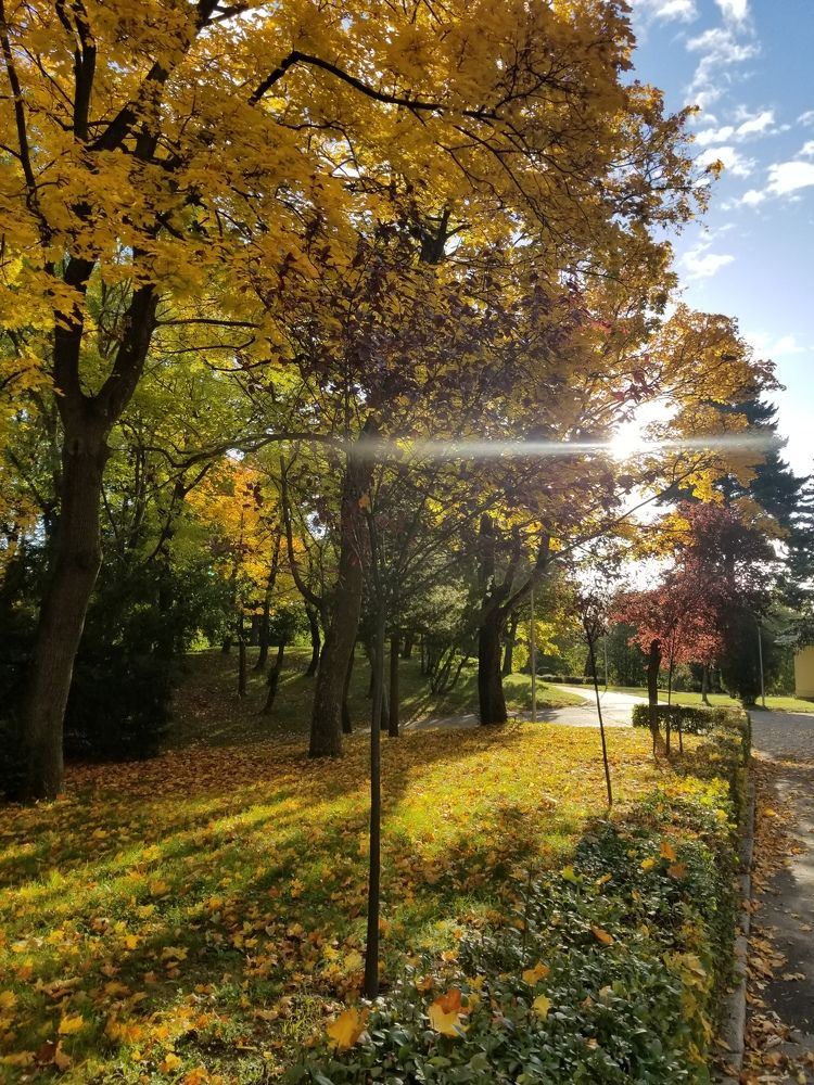 Photograph by Ania Huzii