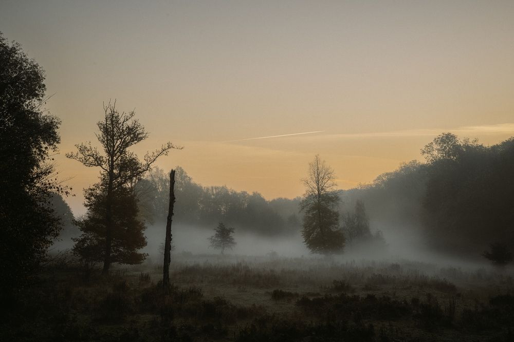 Photograph by Ernestas Balcikonis