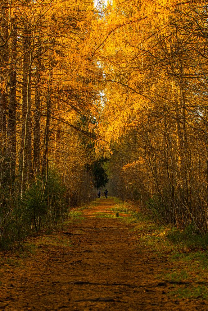 Photograph by Анатолий Буянов