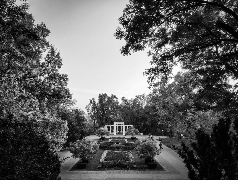 Коллекция ' B&W '.  Серия ' Старый Парк ' / ' B&W ' Collection. ' Old Park ' Series