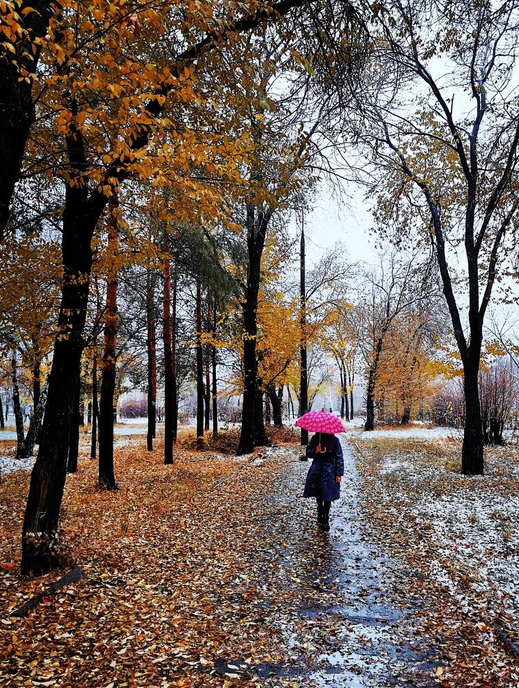 Photograph by Анастасия Прейс