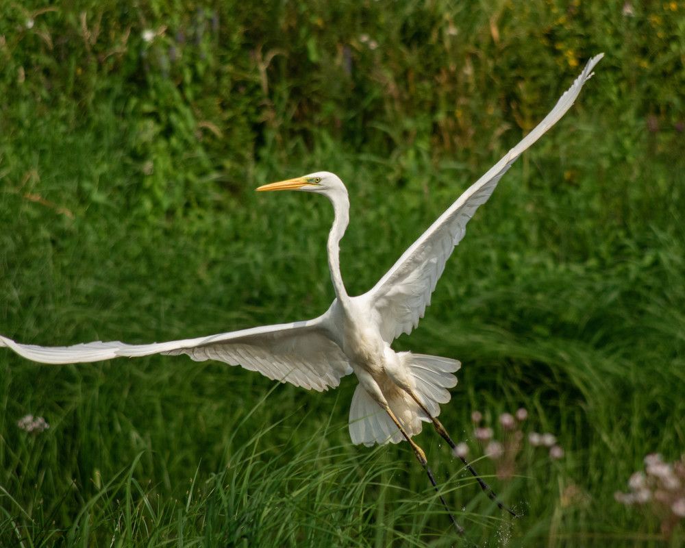 Photograph by Евгений Кузьмин