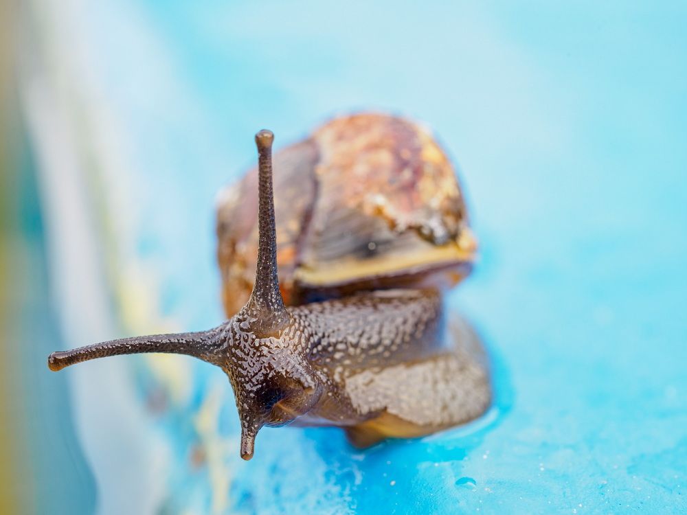 Photograph by Александр Максимов