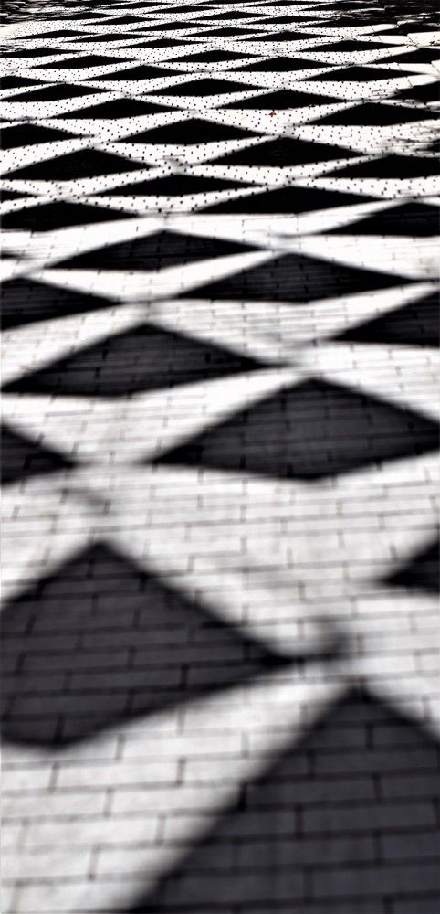 Photograph by Marina Eremin