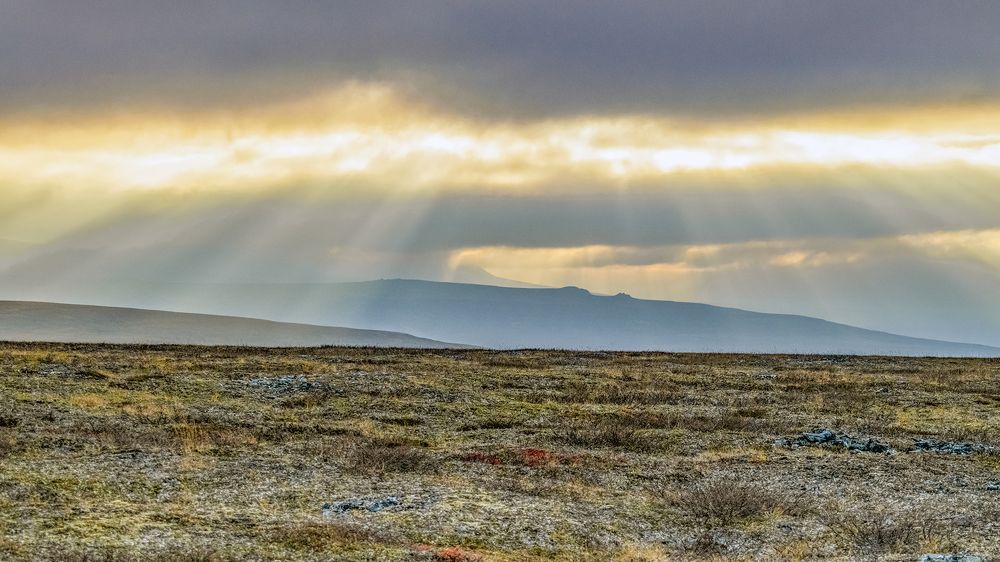 Photograph by Александр Пономарёв