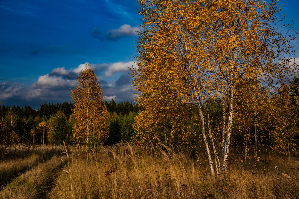 Photograph by Владимир Андреев