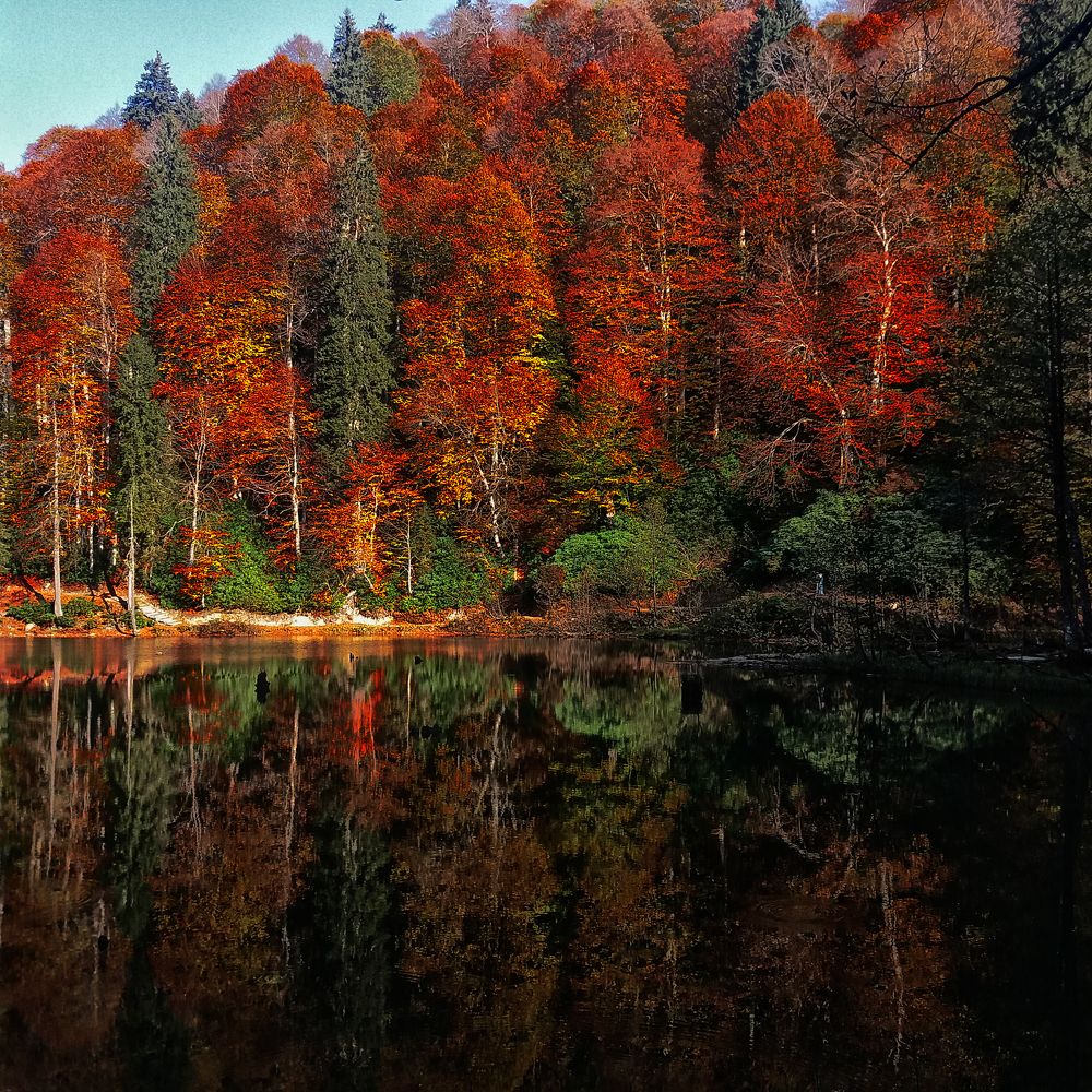 Photograph by Muzaffer Sütlüoğlu