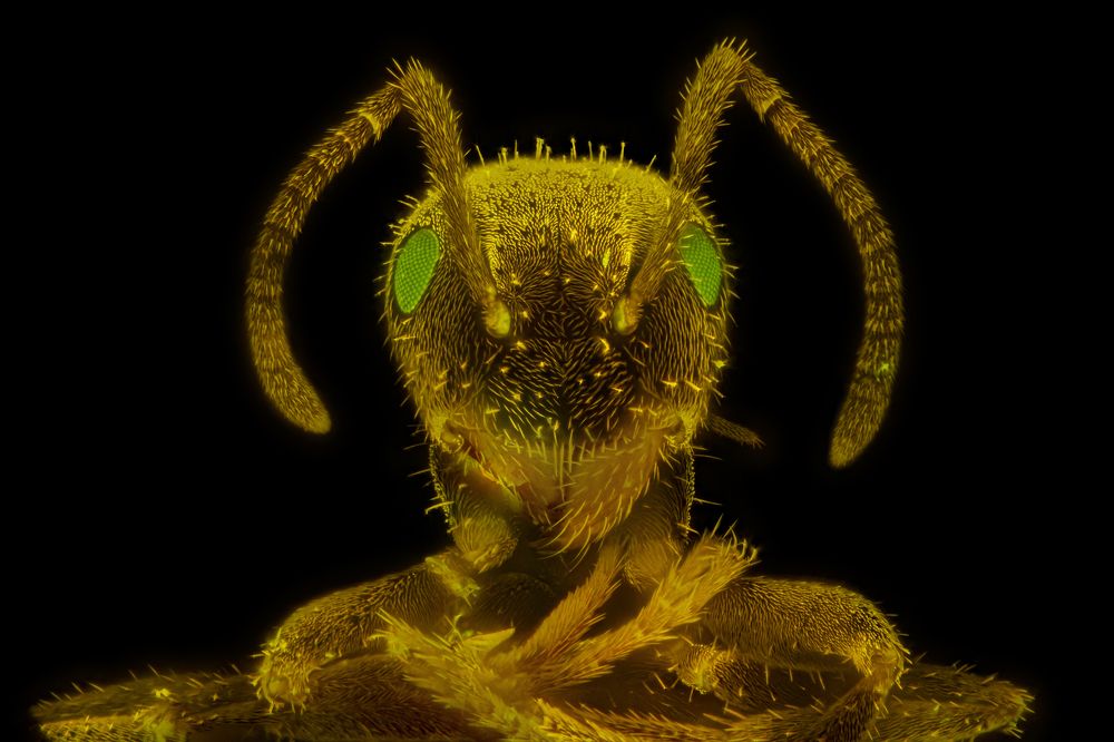 Photograph by Alexander Klepnev