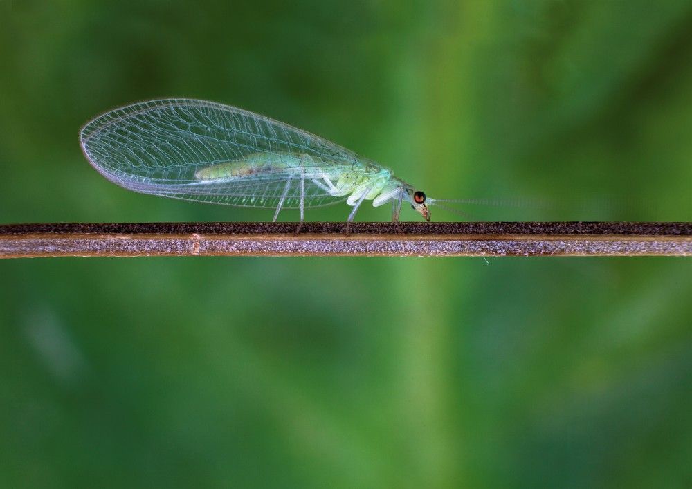 Photograph by cengiz pamuk