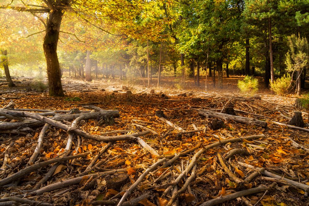 Photograph by Alberto Alonso