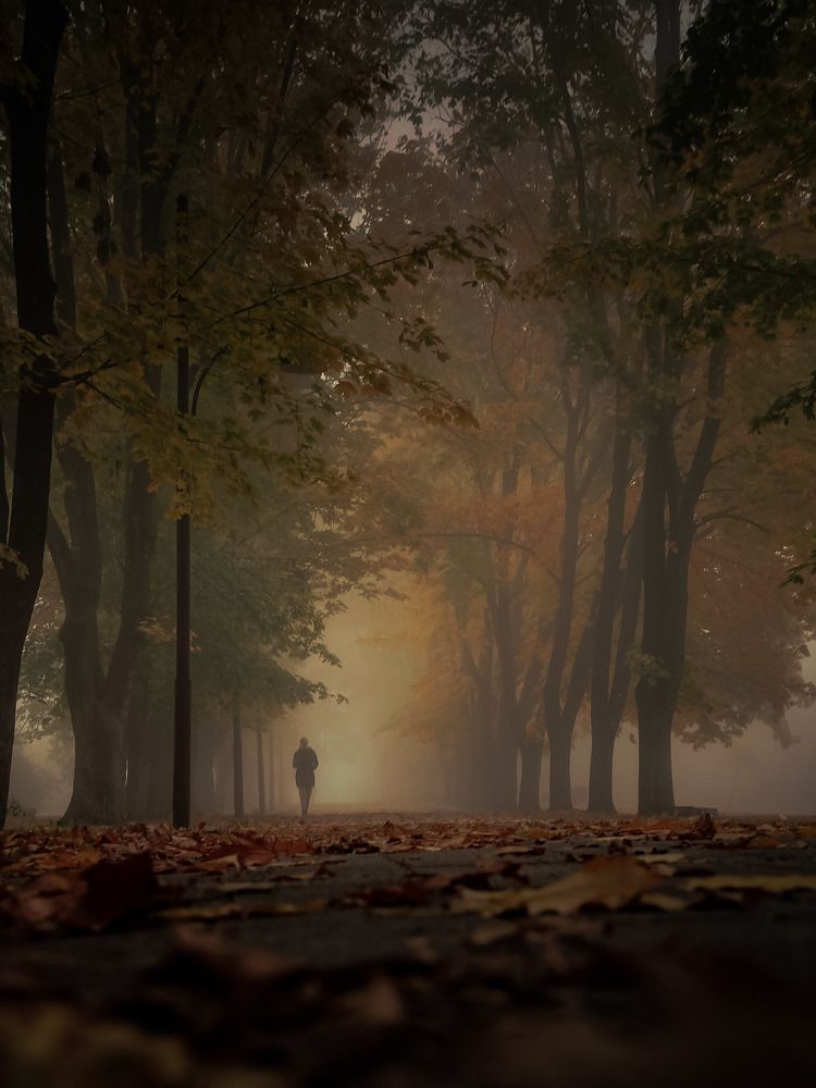 Photograph by Владимир Кульбит