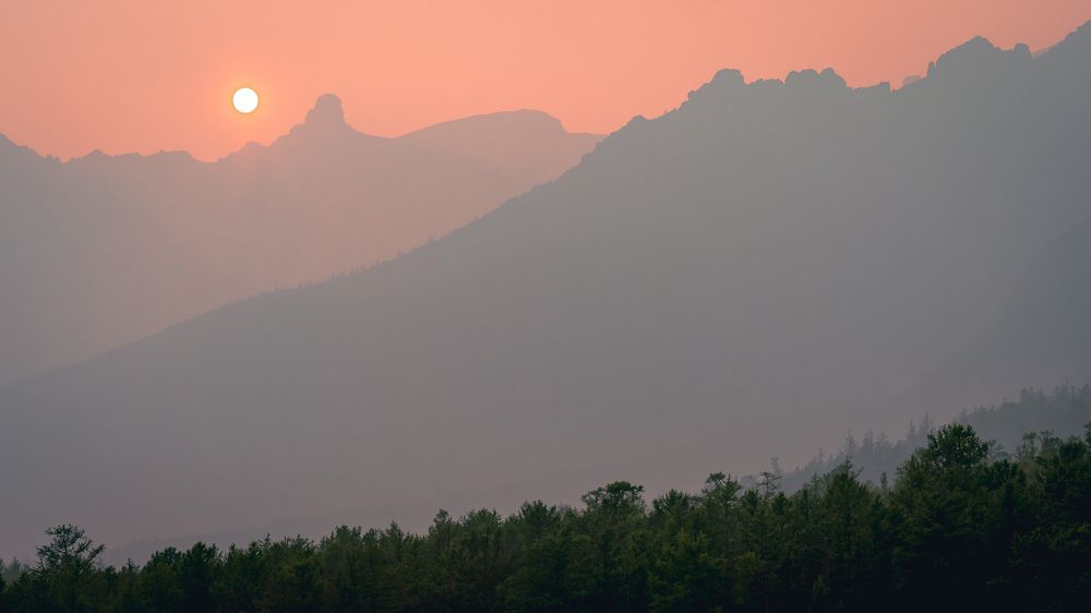 Фотография автора Андрей Васильев