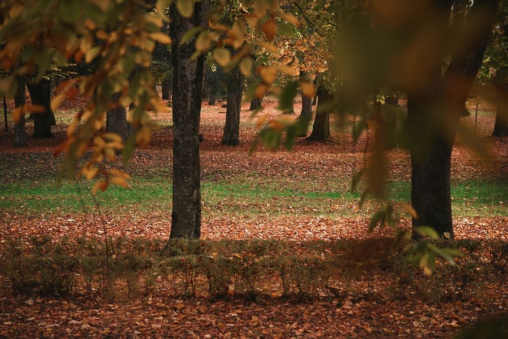 Photograph by Артур Биттиров