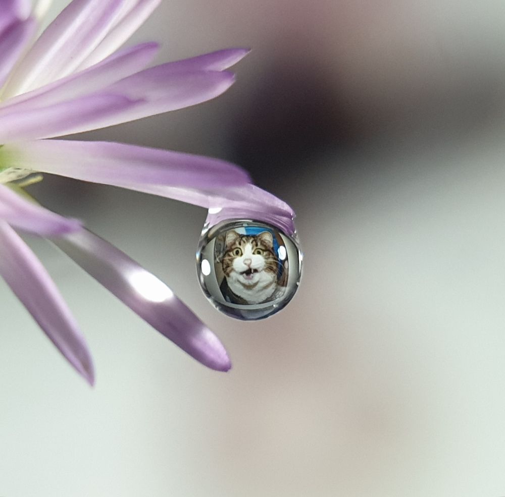 Photograph by Lien Nguyen