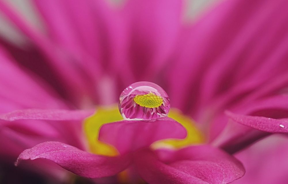 Photograph by Lien Nguyen