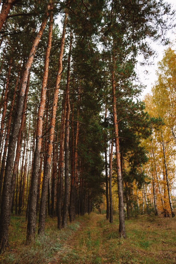 Photograph by Татьяна Конаева
