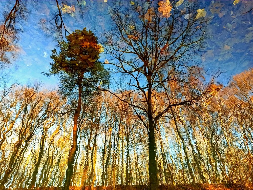 Photograph by Борис Каширин