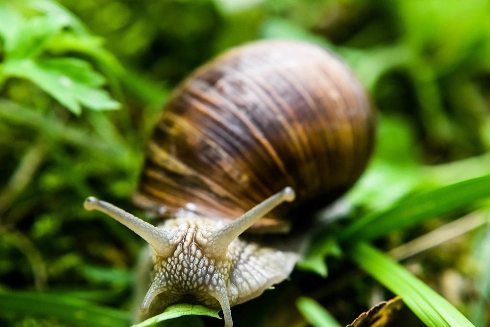 Photograph by Светлана Антонова