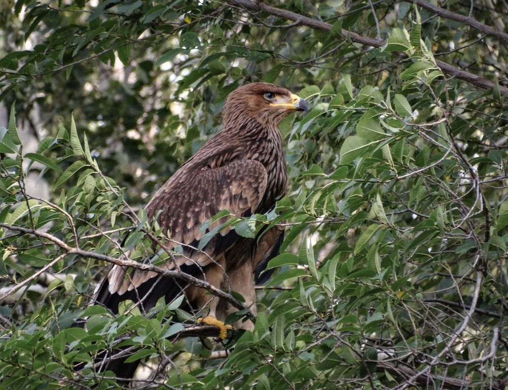 Photograph by Александр Андриянов
