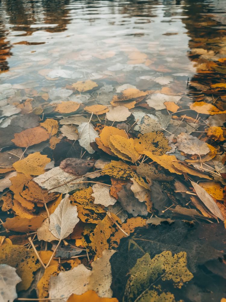 Под водой.
