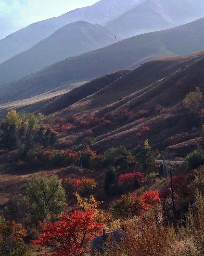 Photograph by Орынбек Асилбаев