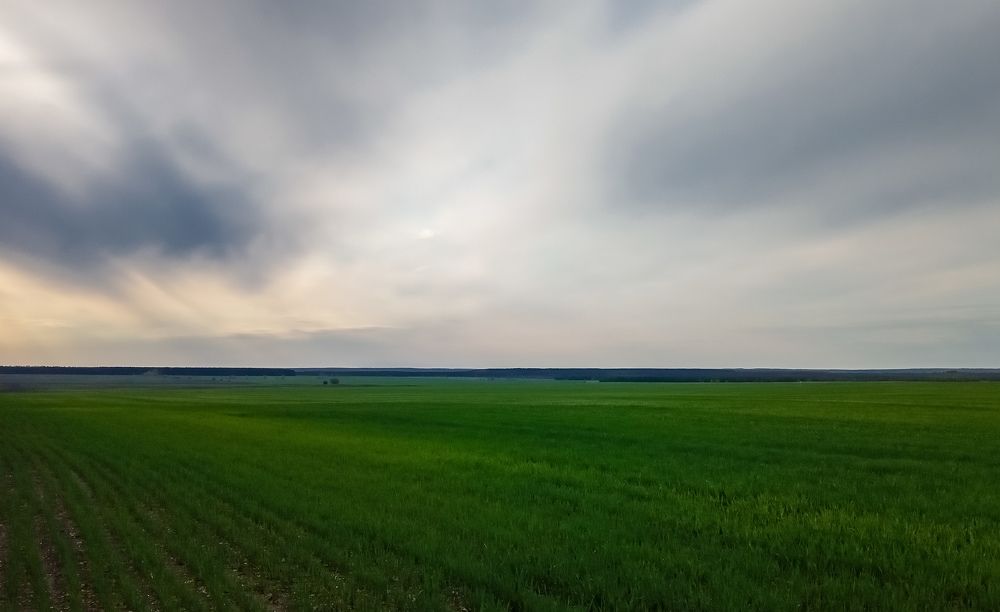 Photograph by Татьяна Конаева