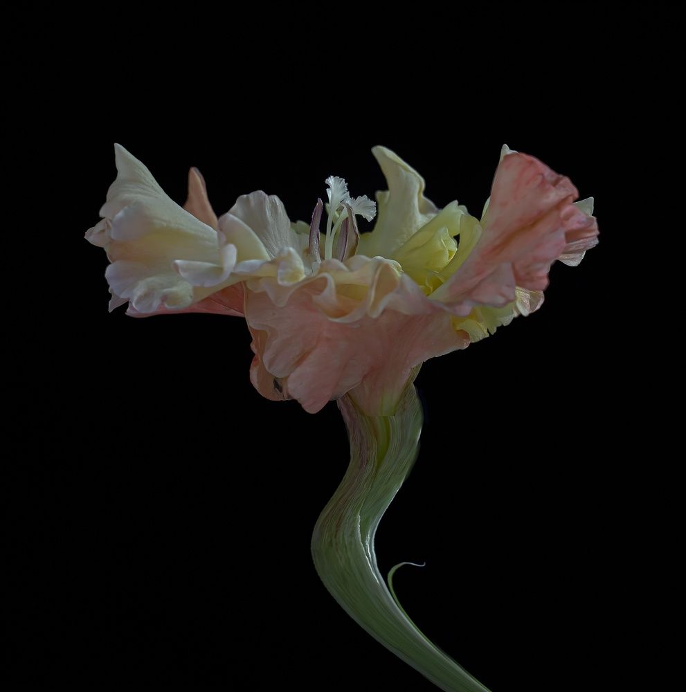 Фотография автора Валентин Черновол