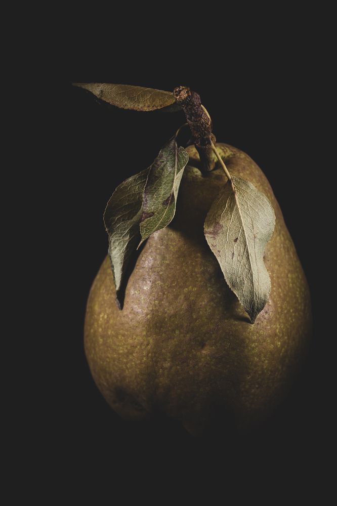 Photograph by Ирина Кротова