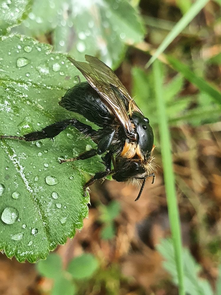 Photograph by Екатерина Карелина