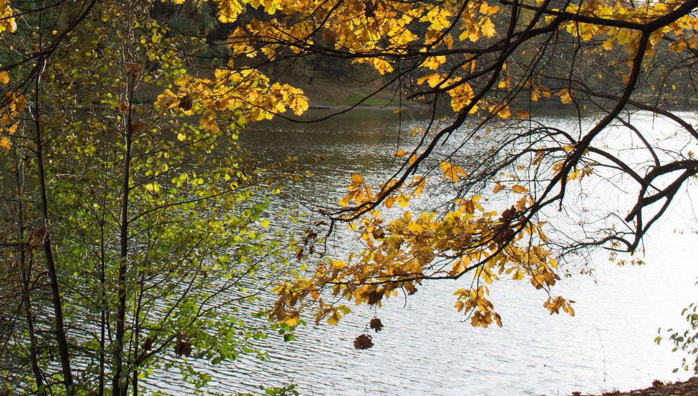 Photograph by Полина Белокопытова