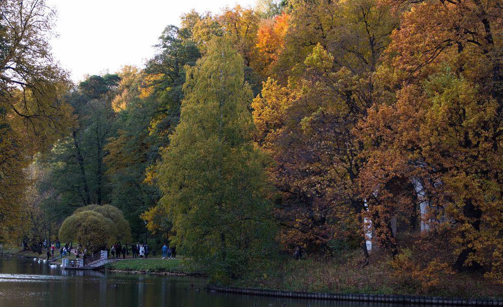 Photograph by Полина Белокопытова