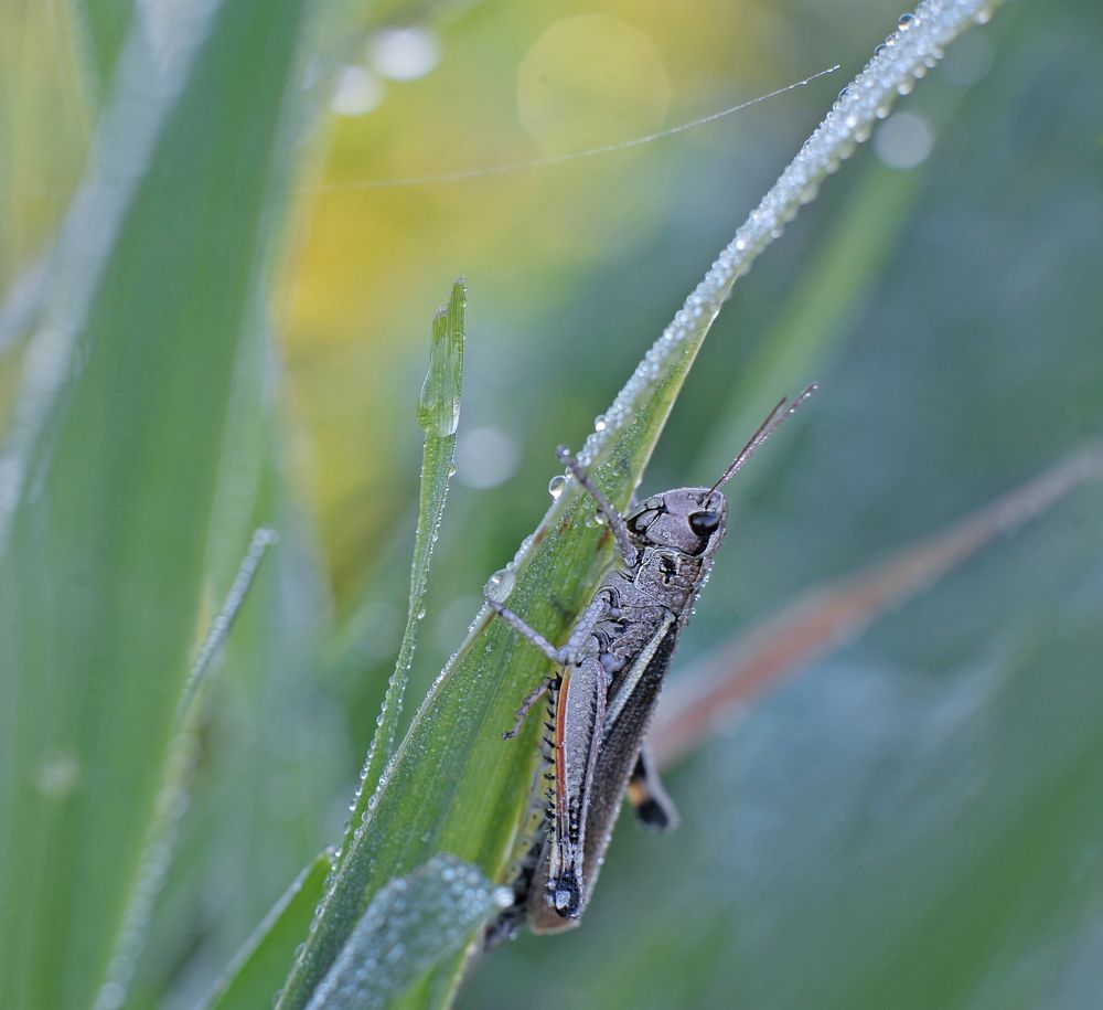 Photograph by Александр Гвоздь