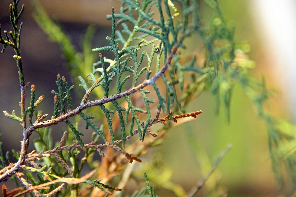 Photograph by Юрий Рыдалёв