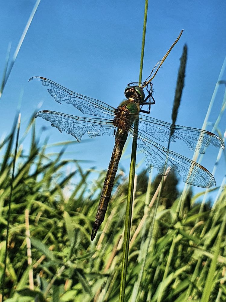 Photograph by Екатерина Карелина