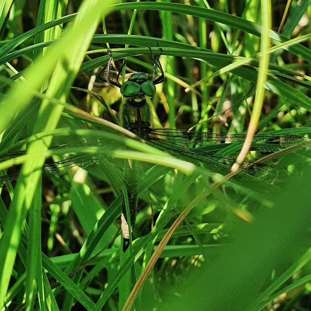 Photograph by Екатерина Карелина