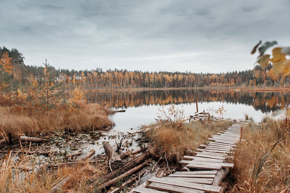 Photograph by Любовь Нефедова