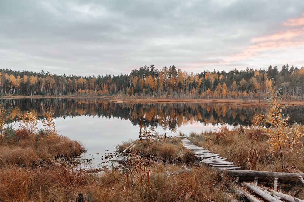 Photograph by Любовь Нефедова