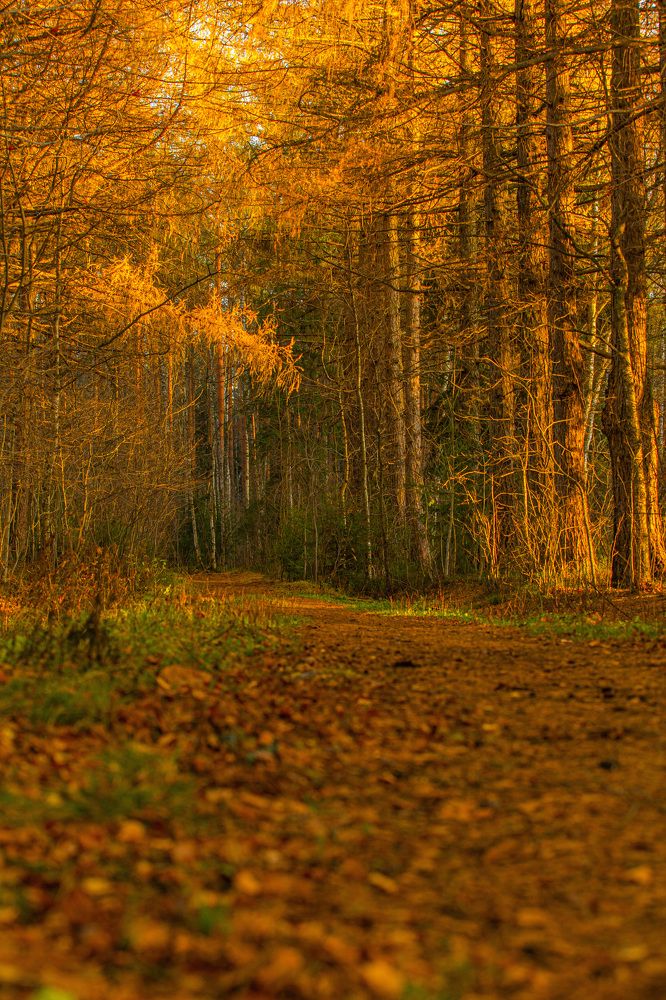 Photograph by Анатолий Буянов