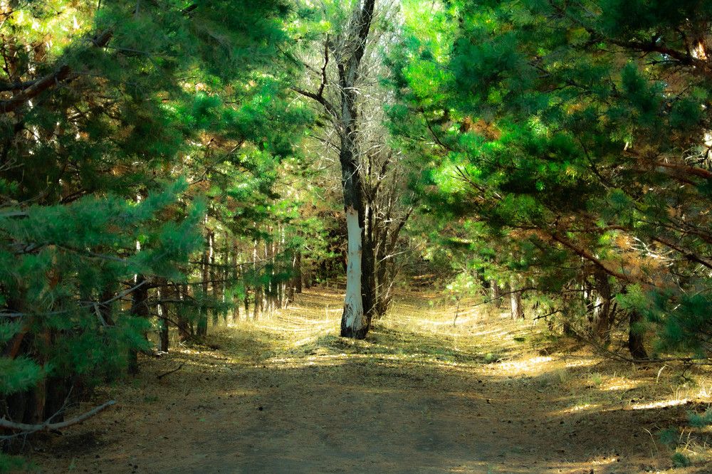 Photograph by Рашид Койлыбаев