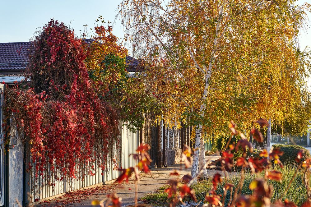 Фотография автора Бобинский Константин