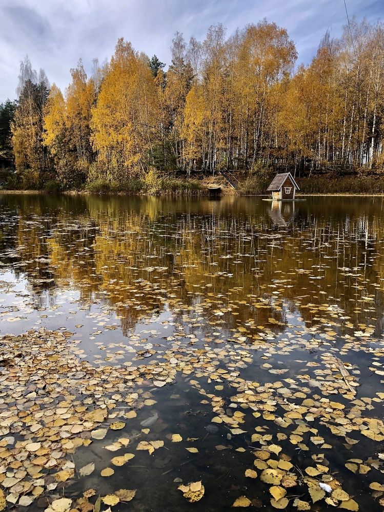 Photograph by Шестакова Наталья