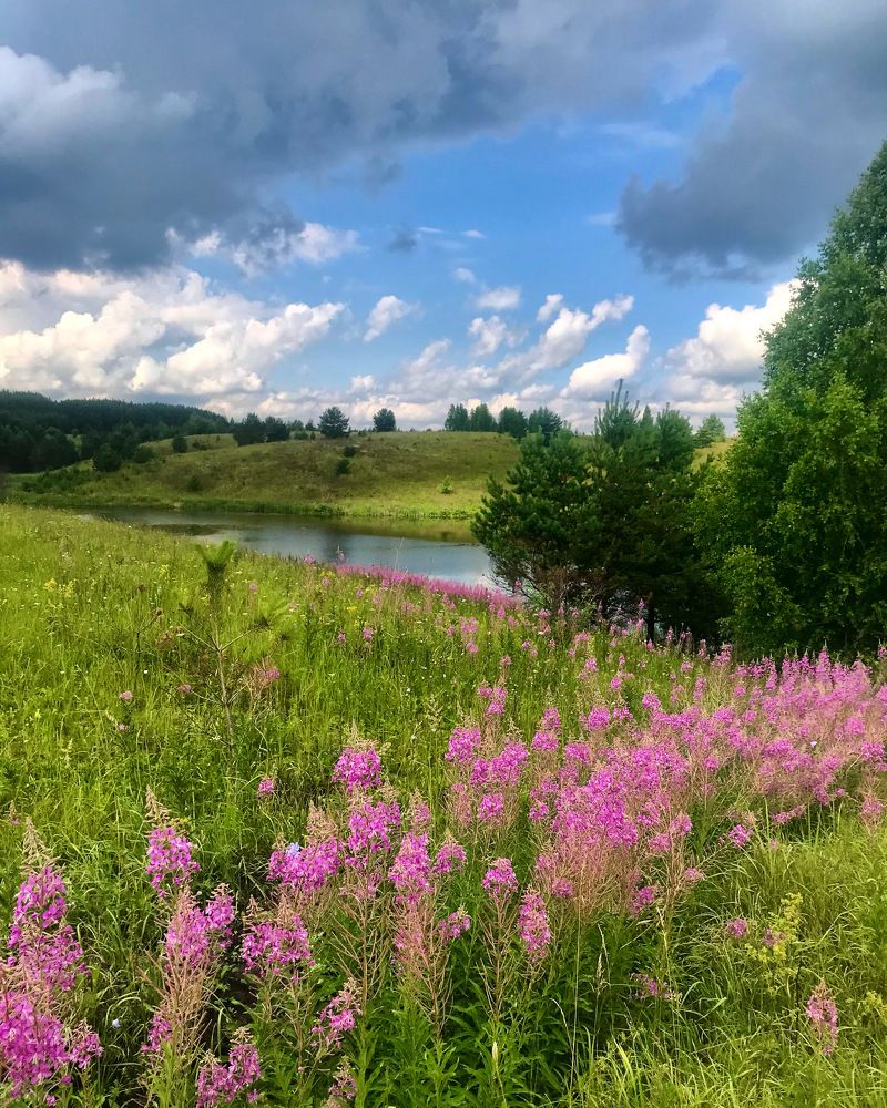 Photograph by Шестакова Наталья