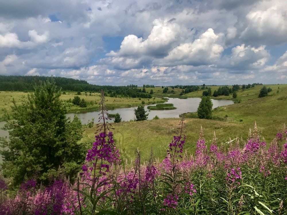 Photograph by Шестакова Наталья