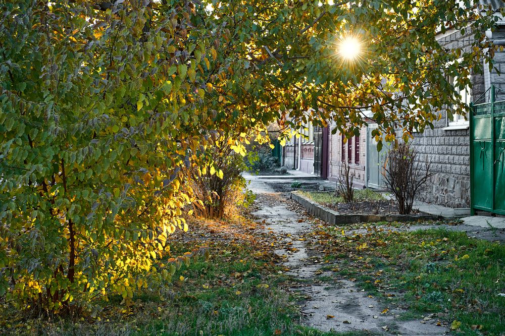 Фотография автора Бобинский Константин